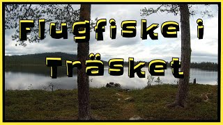 Flugfiske i Sorsele Västerbotten [upl. by Engelhart]