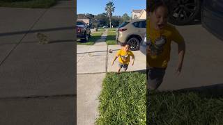 Son Gets Chased By Elephant 😳🐘 [upl. by Mikal]