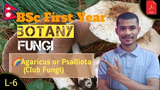 L6 Agaricus or Psalliota Club Fungi● BOTANY ● BSc First Year ● TU ● NEPAL 🇳🇵● By Sumit [upl. by Graner]