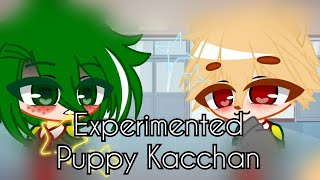 Experimented Puppy Kacchan  Experimented Bakugou Au  Tired Deku  Mha  Original [upl. by Eltsyrhc]