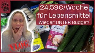 SPAREN extrem günstiger Wocheneinkauf 2459€ 🥳 PERFEKT foodhaul budgetplanung vlog minimalist [upl. by Dowdell]