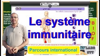 PARCOURS INTERNATIONAL BIOF le système immunitaire la coopération cellulaire [upl. by Gretal]