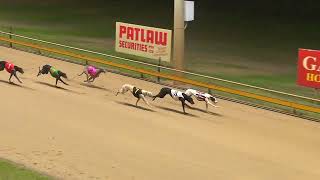 Rockhampton02102024Race12 [upl. by Annette]