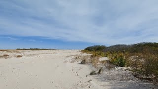 Edwin B Forsythe National Wildlife RefugeHolgate NJ [upl. by Eirual]