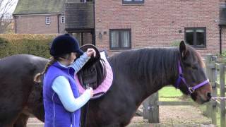 How to saddle your horse  PONY Magazine [upl. by Mic24]