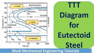 TTT Diagram for Eutectoid Steel  TTT Phase diagram  Material science and Metallurgy [upl. by Esiuqcaj327]