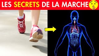 Les Bienfaits de la Marche à Pied sur le Corps 👉🏻 Que Vous Ignorez [upl. by Romonda]