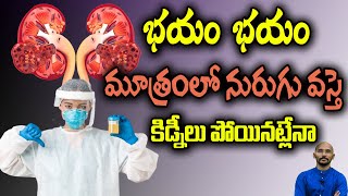 మూత్రం లో నురుగు వస్తే కిడ్నీలు పోయినట్టేనా  DrMadhu Babu Health Trends [upl. by Rhtaeh]