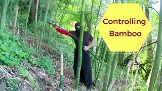 Controlling Bambooshorts [upl. by Terb517]