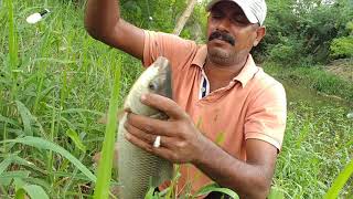 Fishing  Rohu fish amp mrigal fish catch  grass carp fishing [upl. by Tonye]