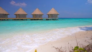 Cozy Tropical Beach Ambience in Maldives Ocean waves 4K Ultra HD [upl. by Fritzie]