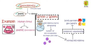 What is Gnotobiotic  immunology Lecture 1 [upl. by Screens]