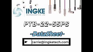 PTB2255PS DataSheet  ingketechnet [upl. by Winter252]