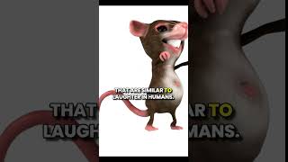 Tickling Rats The Surprising Science Behind Rat Laughter factshorts facts [upl. by Elokcin]