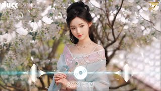 Lướt Sóng Đạp Mây Remix  Lướt Sóng Vượt Ngàn Hải Lý Remix  Nhạc Hoa Lời Việt Remix 2024 [upl. by Yeaton]