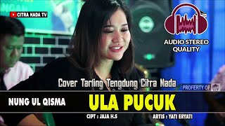 ULA PUCUK  NUNG UL QISMA  COVER TARLING TENGDUNG CITRA NADA [upl. by Sosthena]