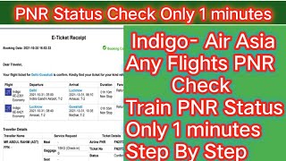 How To Check PNR Status Or Confirm  Indigo Flight Status  Indigo PNR Status  Air Asia  TRT [upl. by Assedo]