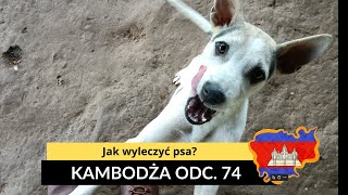 Kambodża  Jak wyleczyć psa odc 74 [upl. by Claudette]