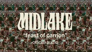 Midlake  quotFeast of Carrionquot Official Audio [upl. by Jany]