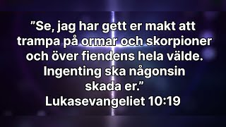 ”Människosonen har kommit för att söka upp och frälsa det som var förloratquot” 20241109 [upl. by Koo]