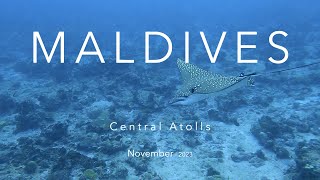 Diving the Maldives Central Atolls 4K [upl. by Rochester636]