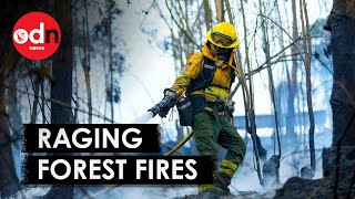 RAGING Forest Fires Spread In Ecuador [upl. by Adahs]