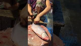 Amazing Big Mrigal Fish Cutting Skills Live In BD Fish6Market [upl. by Lehcyar]