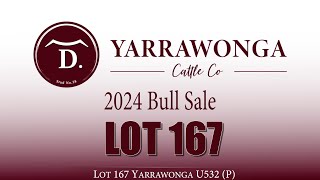 Lot 167 Yarrawonga U532 P [upl. by Gillman811]