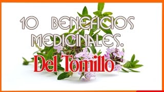 10 Beneficios Medicinales Del Tomillo [upl. by Kilroy35]