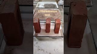 efflorescence test of brick harmful ingredients in brick [upl. by Hashum64]