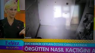 Eski kedicik Ceylan Özgülün kaçış videosu yalan çıktı [upl. by Edgerton887]