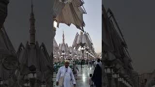 pakistanivlogs nsrbvlogs madina [upl. by Sucram429]