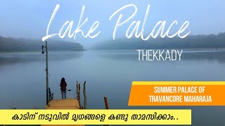 Lake Palace Thekkady  Summer Palace of Travancore Kings  In the middle of Forest [upl. by Kisung]