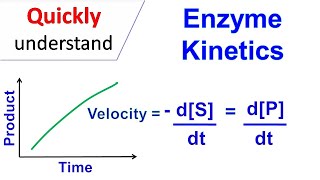 Enzyme kinetics [upl. by Klein]