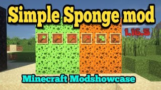 Minecraft 1165  Simple Sponge mod [upl. by Jude]