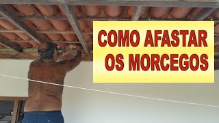 COMO AFASTAR OS MORCEGOS COM DETERGENTE VEJA COMO [upl. by Tristram866]