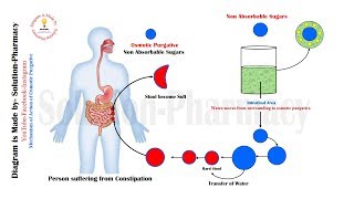 Mechanism of action of Lactulose  Salineamp osmotic laxative pharmacology medical medicaldiploma [upl. by Airlia]