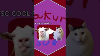 Huh cat and goat yapping  goat yap cat huh funny subscribe short shorts yapping [upl. by Hasen]