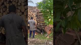 TIMBER lorry 😢🤲like share subscribe 🤲🤲🤲✌️✌️✌️🚛 [upl. by Elocin]