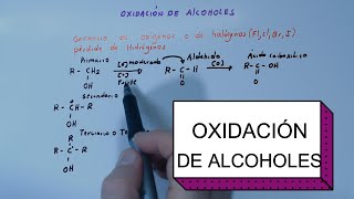 REACCIONES DE ALCOHOLES OXIDACION REDUCCION DESHIDRATACION ETC QUÍMICA CON IRWIN [upl. by Atselec]