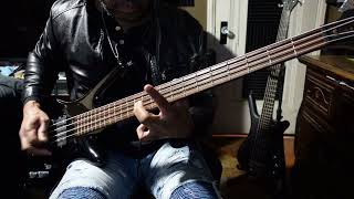 TOOL  Forty Six amp 2 Bass Cover [upl. by Emelda]