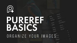 ORGANIZE YOUR REFERENCE IMAGES  Getting Started PureRef [upl. by Rabiah893]