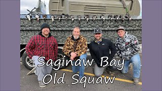 Saginaw Bay Old Squaw [upl. by Einafit]