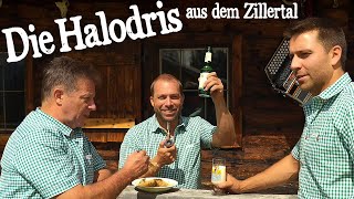 DIE HALODRIS AUS DEM ZILLERTAL  Wenns Arschal brummt [upl. by Naashar213]