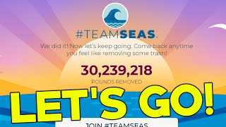 Team Seas Did It [upl. by Florin]