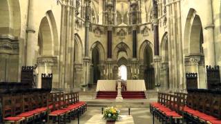 Der Dom zu Magdeburg [upl. by Penhall958]