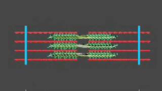 How a muscle contraction is signalled  Animation [upl. by Etrem]