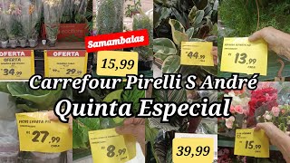 PLANTAS NO SUPERMERCADO CARREFOUR S ANDRÉ ORQUÍDEAS 2999 FESTIVAL DE PLANTAS ANTÚRIOS [upl. by O'Neil716]