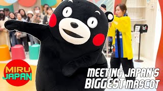 We meet Kumamon  Japans most famous mascot  J P  Kumamoto Japan [upl. by Alyhc]