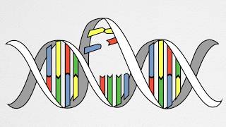 How UV Causes Cancer and Aging [upl. by Christin]